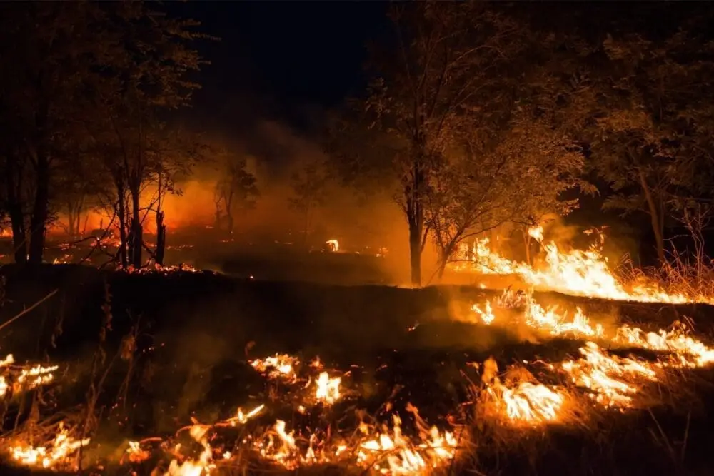 Brush fire burning across a hillside in the Temecula Valley area at night