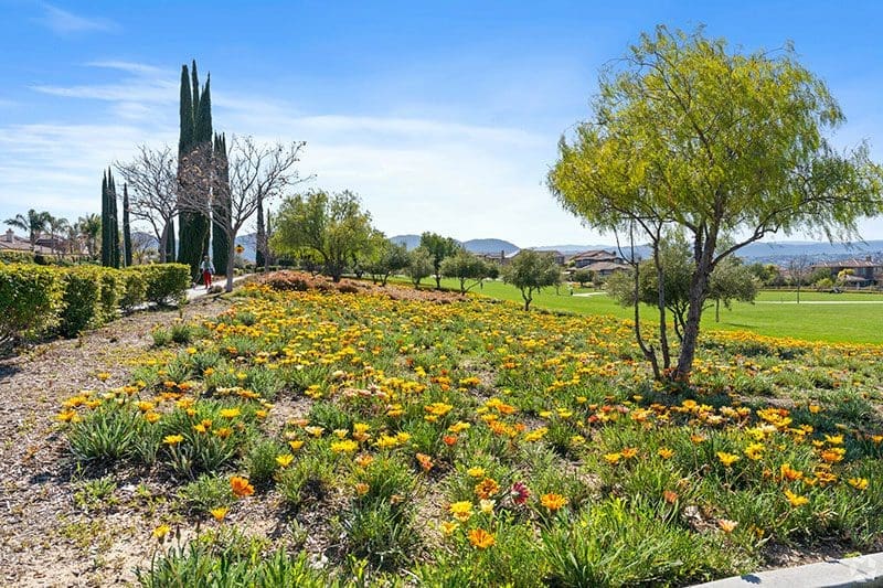 Morgan Hill Temecula California